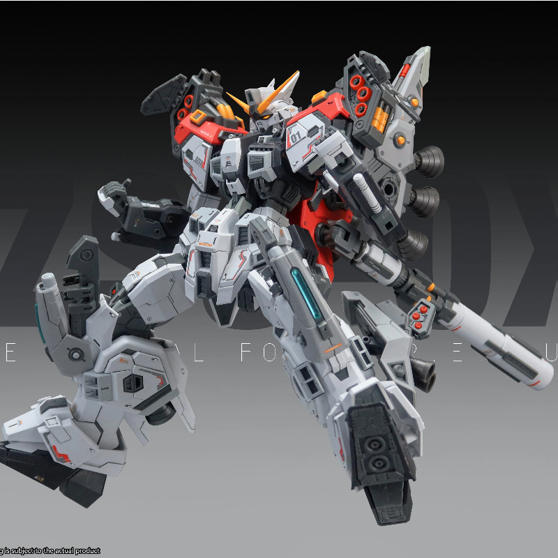 Neues 1/100 ZZA Modell MG REGU – Model Kit Regus Bewertung und Preis