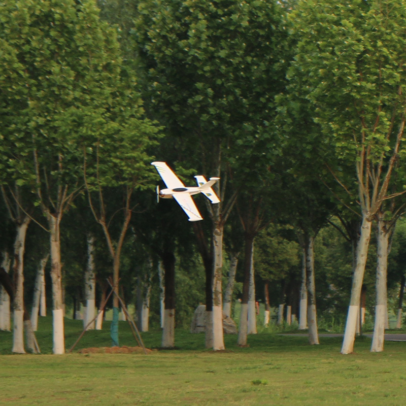 Skywalker Speed G RC Starrflüg – Model Kit Competition Bewertung und Preis